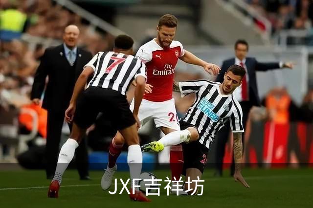 JXF吉祥坊公司环境